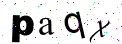 Enter the text you see:
