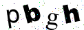 Enter the text you see: